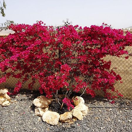 Dunasol Fuerteventura Corralejo Dış mekan fotoğraf